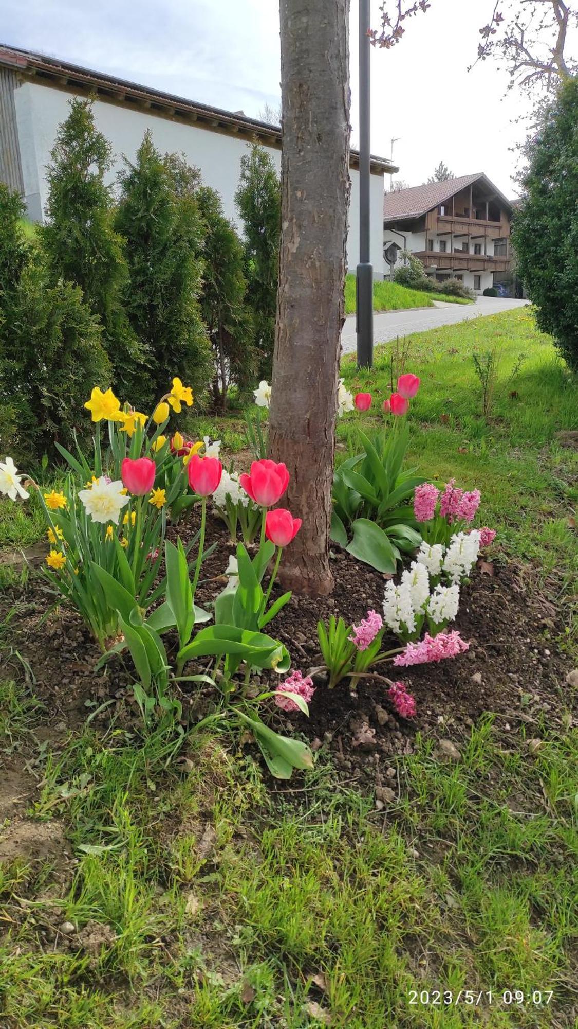 Ferienhaus Am Bach Achslach Dış mekan fotoğraf