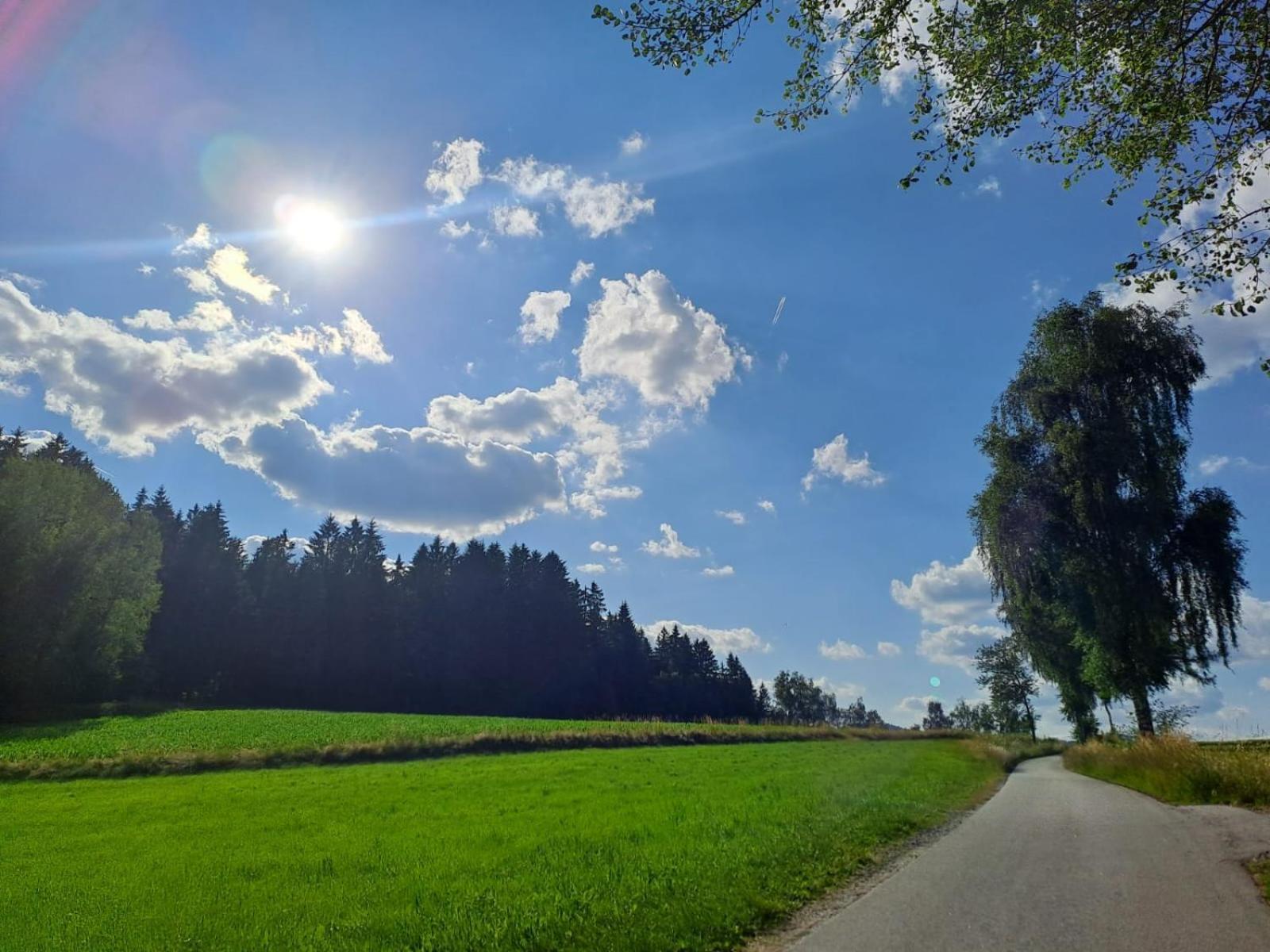 Ferienhaus Am Bach Achslach Dış mekan fotoğraf
