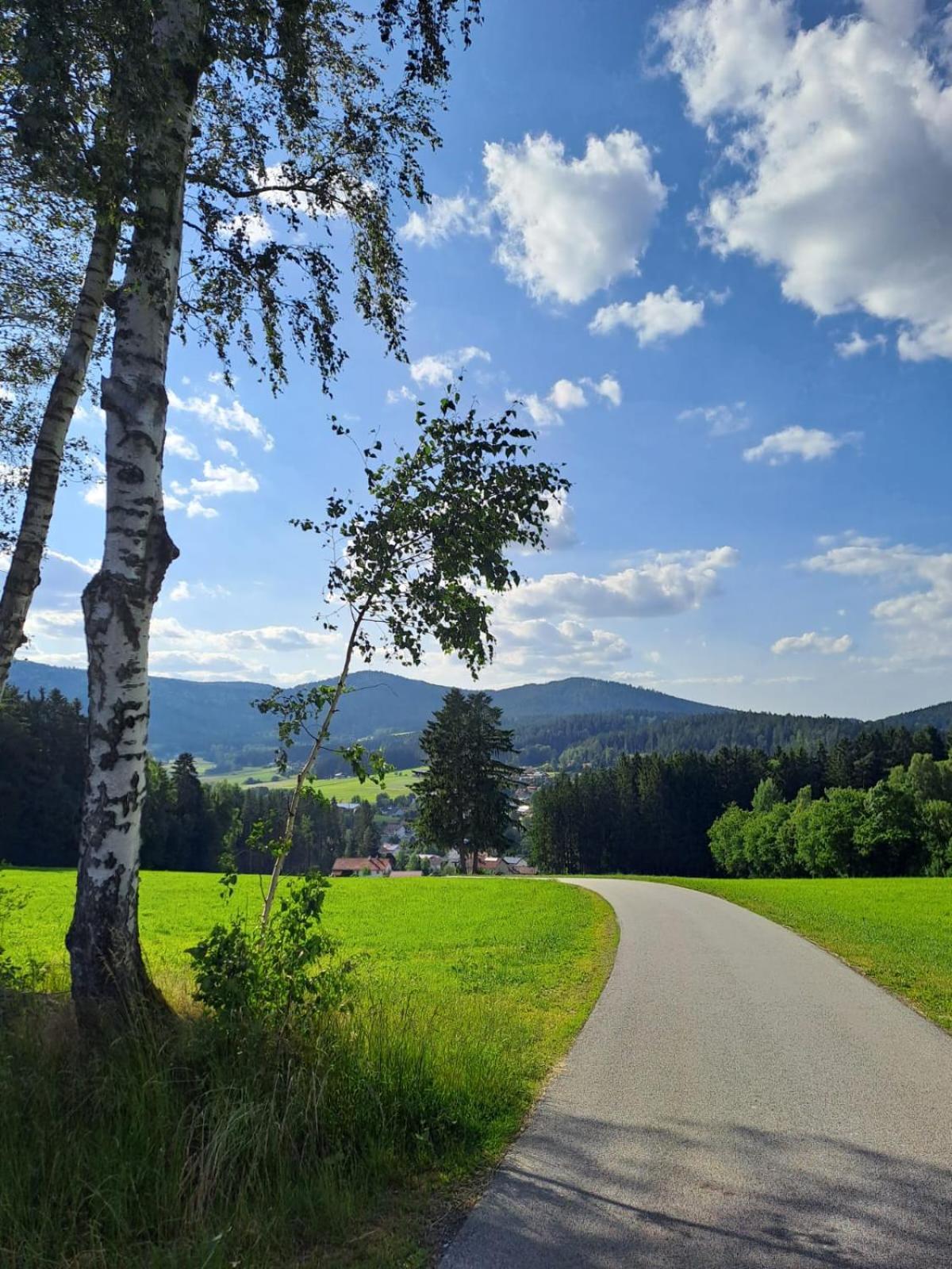 Ferienhaus Am Bach Achslach Dış mekan fotoğraf